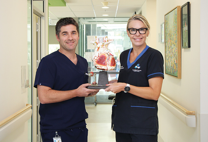A male doctor and female nurse practitioner hold a structural model of a heart